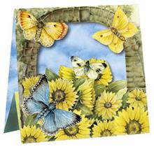 box zonnebloem vlinders