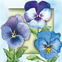 box 3 blauwe viooltjes