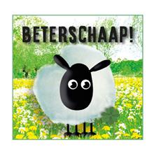 vierkante kaart Beterschaaaap