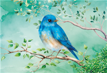 wenskaart Blauwe vogel op tak