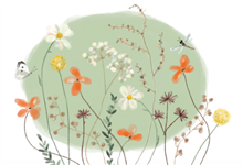 wenskaart Bloemen en vlinder