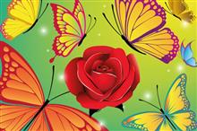 wenskaart kleurige vlinders met roos