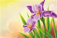 wenskaart Paarse Irissen