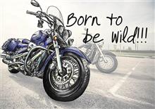 wenskaart Born to be wild!