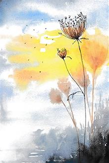 wenskaart Riet en zonlicht