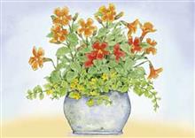 wenskaart oranje/gele bloemen in pot