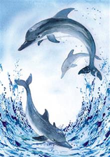 wenskaart drie dolfijnen Jan