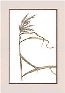 wenskaart riet condoleance