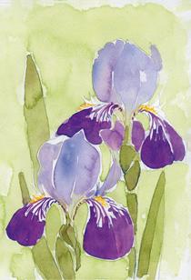 wenskaart iris Dini