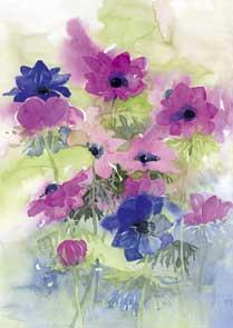 wenskaart anemonen Dini
