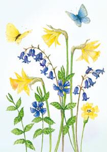 wenskaart narcissen boshyacinten vlinders