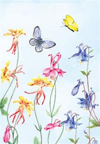 wenskaart akelei vlinders