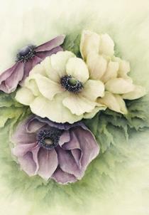 wenskaart anemonen Muriel