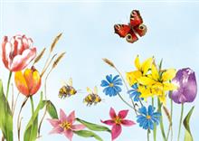 wenskaart gemengde bloemen 2