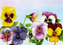 wenskaart violen Mriel