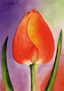 wenskaart 1 tulp