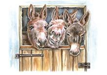 wenskaart drie ezels