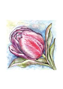 wenskaart een tulp Anna