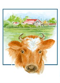 wenskaart boerderij en koe