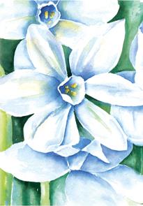 wenskaart blauwe bloem Annette