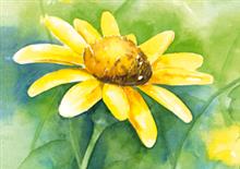 wenskaart gele bloem
