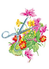 wenskaart schaar cyclamen