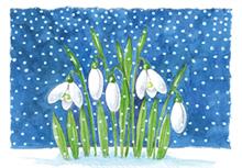 wenskaart sneeuwklokjes in de sneeuw