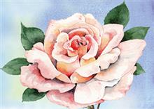 wenskaart roze roos
