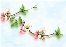 wenskaart tak appelbloesem