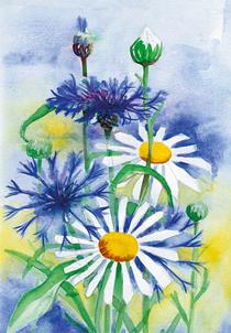 wenskaart witte margriet en korenbloem
