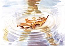 wenskaart condoleance blad water
