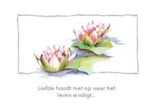 wenskaart condoleance roze lelies Liefde houdt niet op