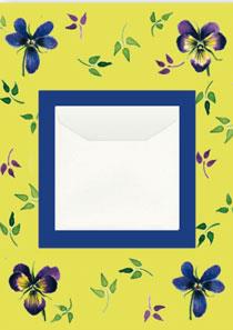 wenskaart geld envelop 4 blauwe violen