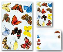 Dessin map 5/5 vlinders Annie (11790+51449)