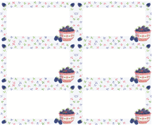 Etiket Frambozen 6x