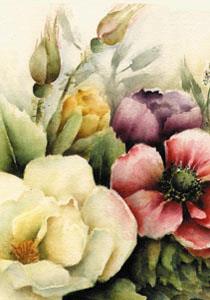 ansicht anemonen Muri‰l (5x)