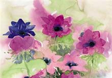 ansicht anemonen (5x)