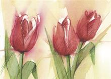 ansicht  (5x)