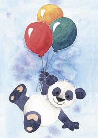 ansicht koala ballonnen (5x)