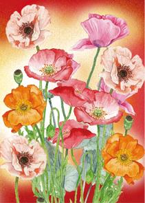 ansicht papavers