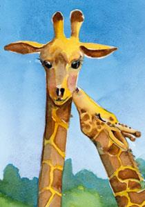 mapje 4/4 twee giraffes