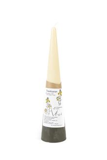 Eco koolzaad Kegelkaars Mosgroen-ivoor 70-300