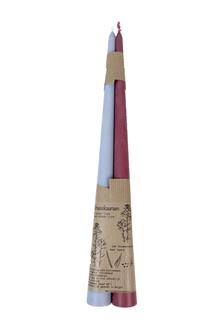 Eco koolzaad Smal kegelkaars bl + oud rose