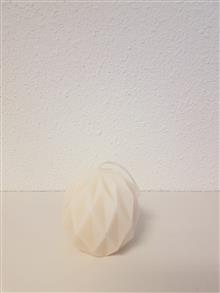 Eco koolzaad Kristel rond Code 1 (wit)