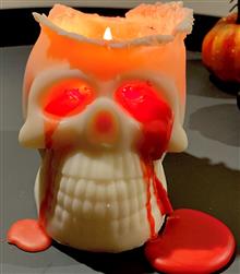 Eco koolzaad Schedel 270gr  10x7x7 cm