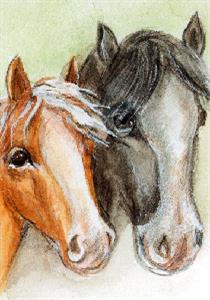 adresboek twee paardehoofden