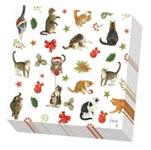 Servet 33x33 Franciens katten