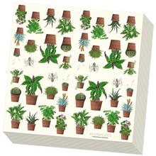 Servetten: Houseplants, Kelly van Koppenhagen, Hortus Botani