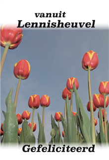 Gefeliciteerd, tulpen