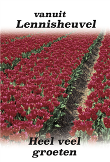 Heel veel groeten, bloemenveld